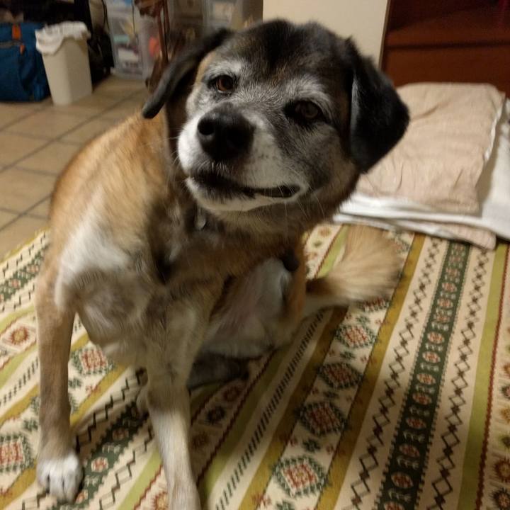 2442d859 6e69 42ec aeda 5c31f67398f4 1512472136572