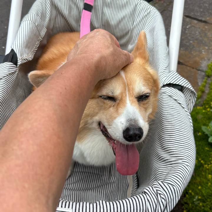 244314dc c3dd 41b6 aa93 2d5dfdc4dab3 1749779596938