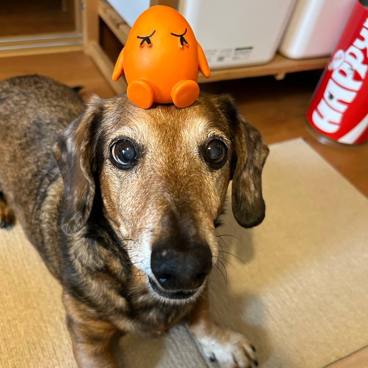 24431615 d3b0 47f7 91d7 3f569a34d0fe 1683455986232