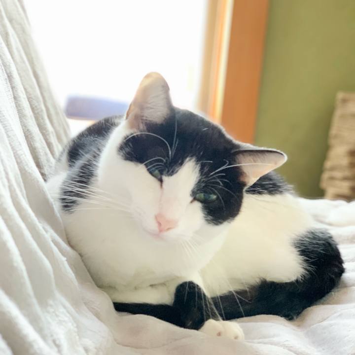 24431ad9 f154 42d9 9a56 7965ff868991 1545012054287