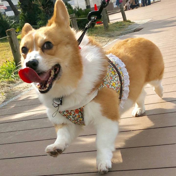 2443272c 1097 4cfd 8e95 fd3a1bdc25c0 1549605079863