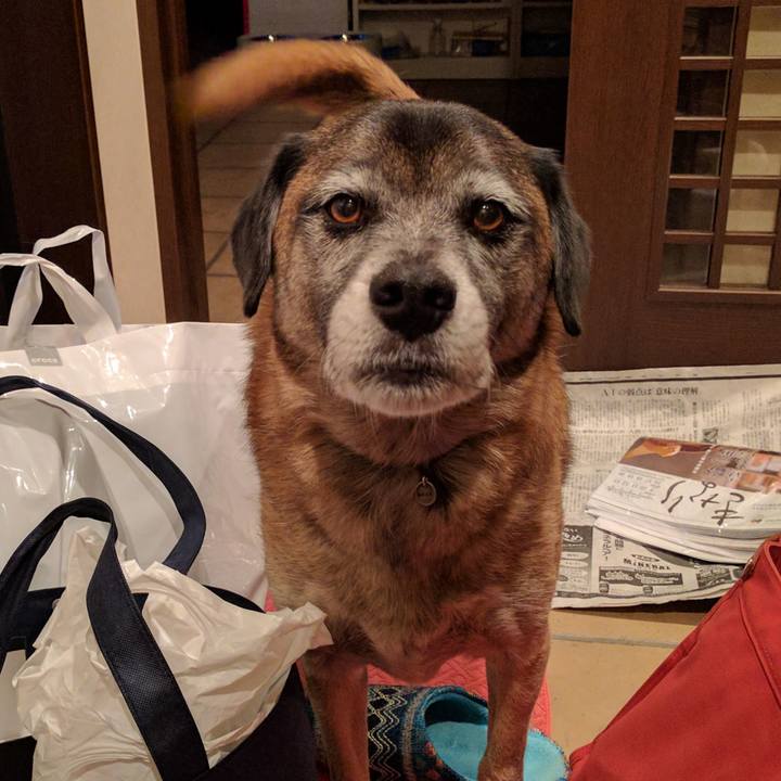 24432e9b f28f 4ffb b75e abff4e63b0d6 1706749564713