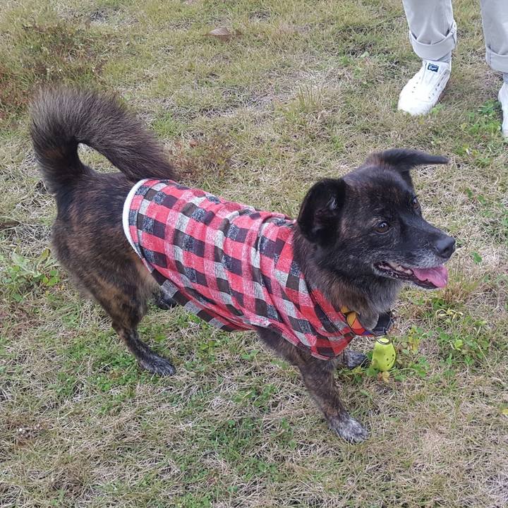 2443452c 6c31 47b3 92b4 2d207f4e8af5 1511307599751