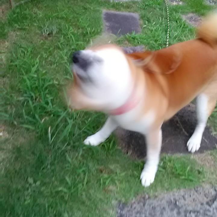 24437ad0 696c 4a86 978e 14bf5a3e6172 1631264654750