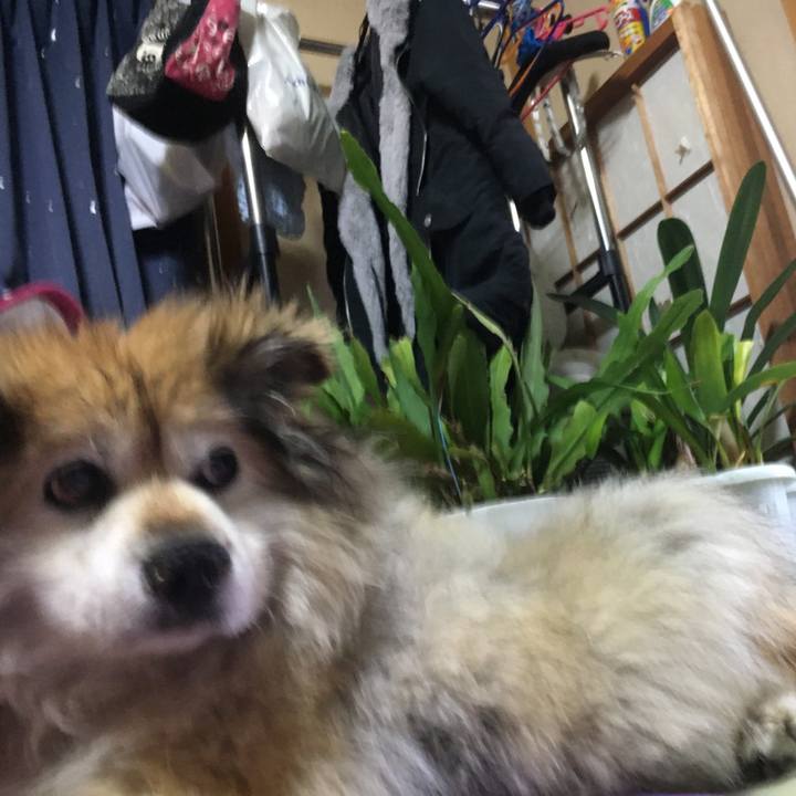 2443b158 70b8 406c 98d5 7e600ec94502 1625118996133