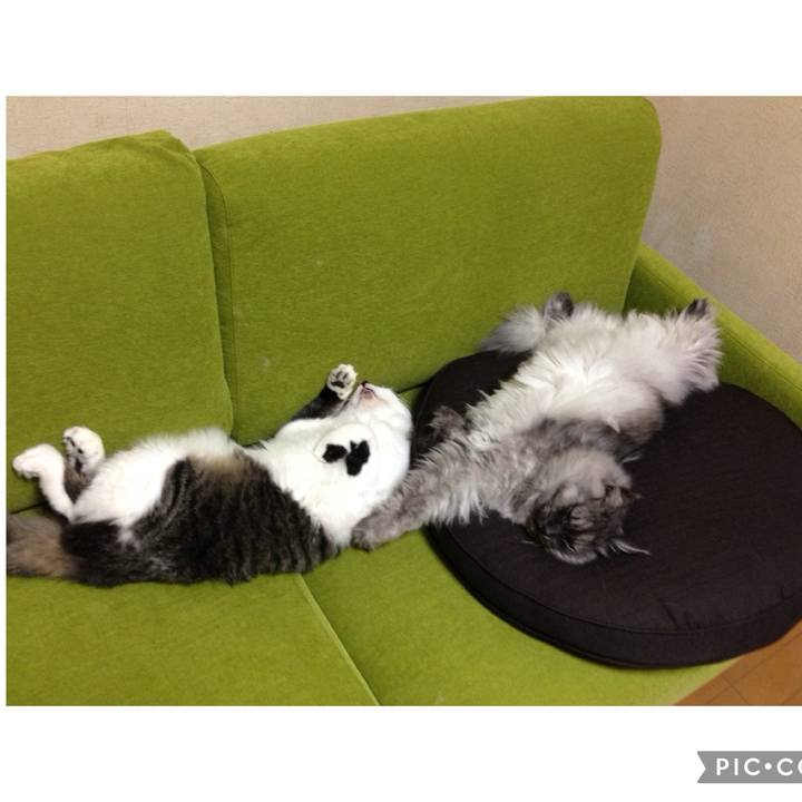 2443b736 7e40 4959 a64a 1ecaba03185a 1712443895414