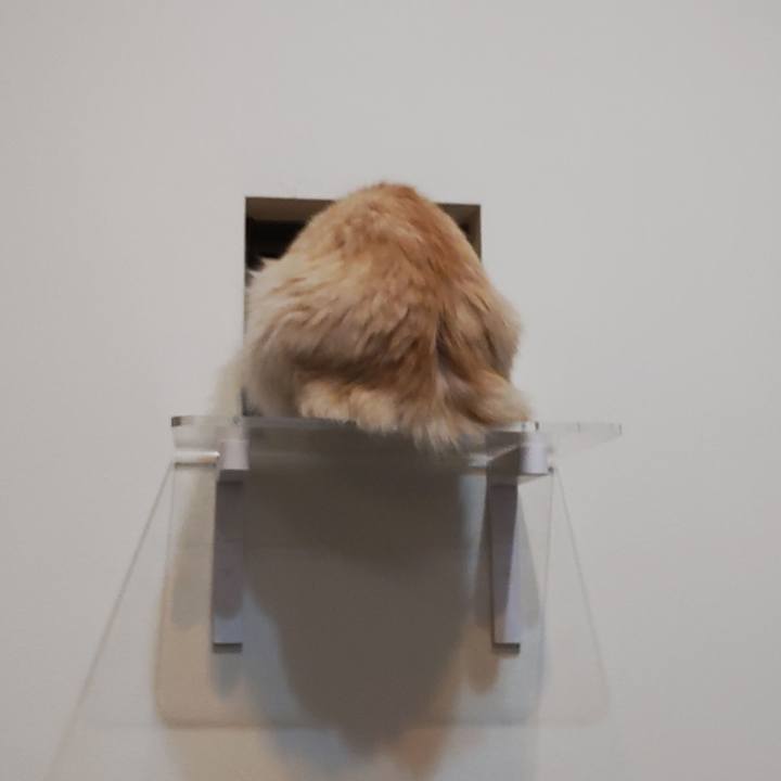 2443bb03 90f7 4737 96d5 6d6bebc1482e 1703866767549