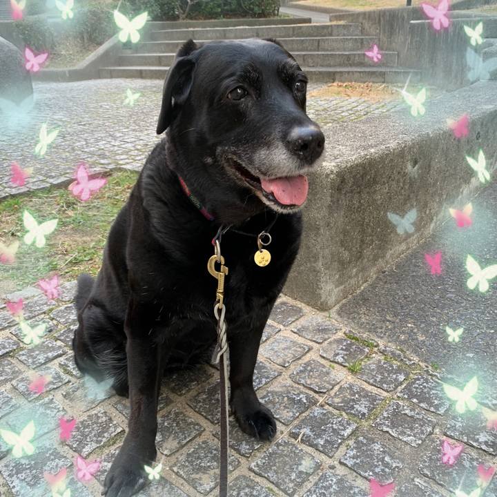 2443e921 ce75 4999 b1cf f73706e8f47b 1749550268636