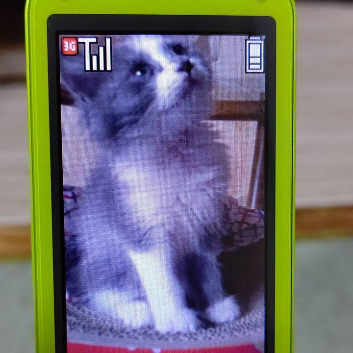 244416f4 b0fb 46a8 b570 ce88ea3184d3 1610624541945