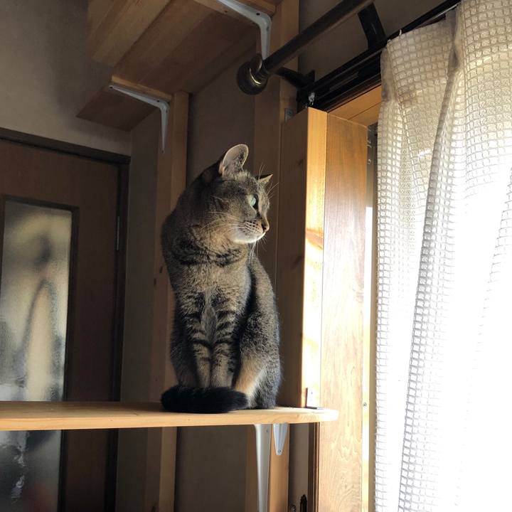 24442082 2baa 4e9e b6a9 5221b05d51f5 1620348559552