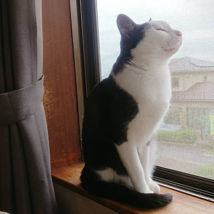 24442376 578d 4958 ab1c 1cbd27f1fd19 1508678205328