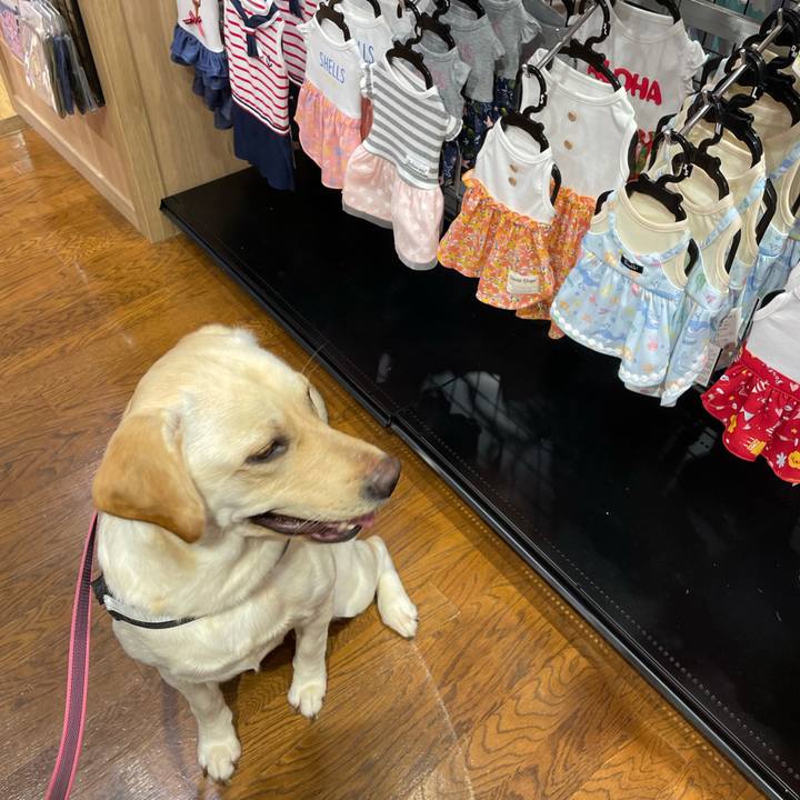 24448524 650d 4386 97c9 4ff80db24605 1657704459340