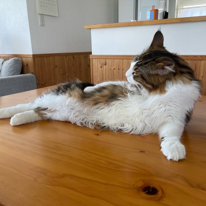 244490ae 773c 4339 b0cd 2c89857af301 1652651789151