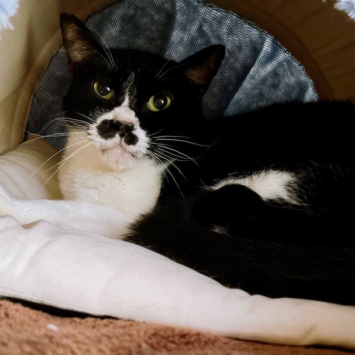 2444bfd5 3fa1 4f0d 8fce 737c4ca4b247 1669764919028