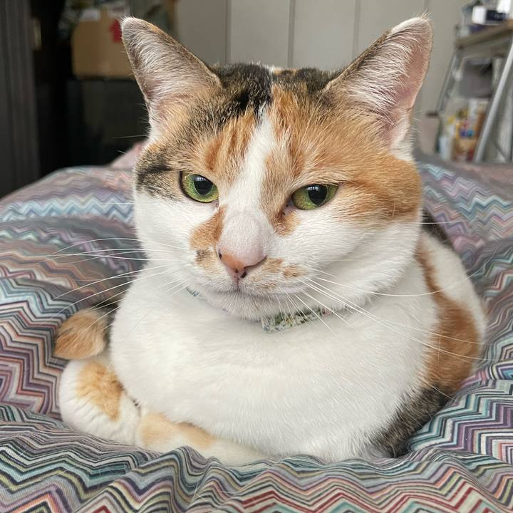 24450c4d 97f9 43c6 9006 f6bcb19fb67d 1713411185791