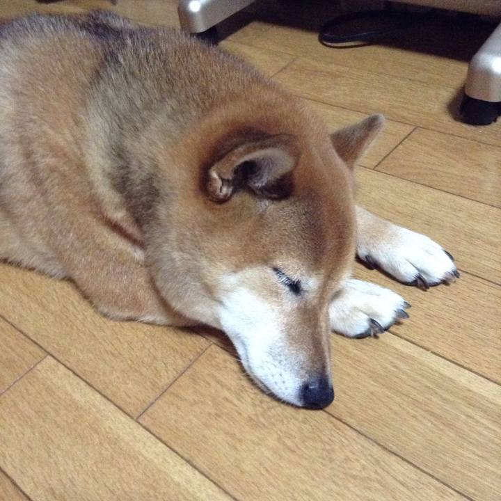 24451f9e a95b 43a3 8e62 7fb997c73d71 1536061373269