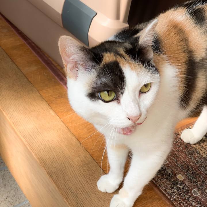 24452503 db02 4c70 b8d9 821c4029c35d 1566092798163