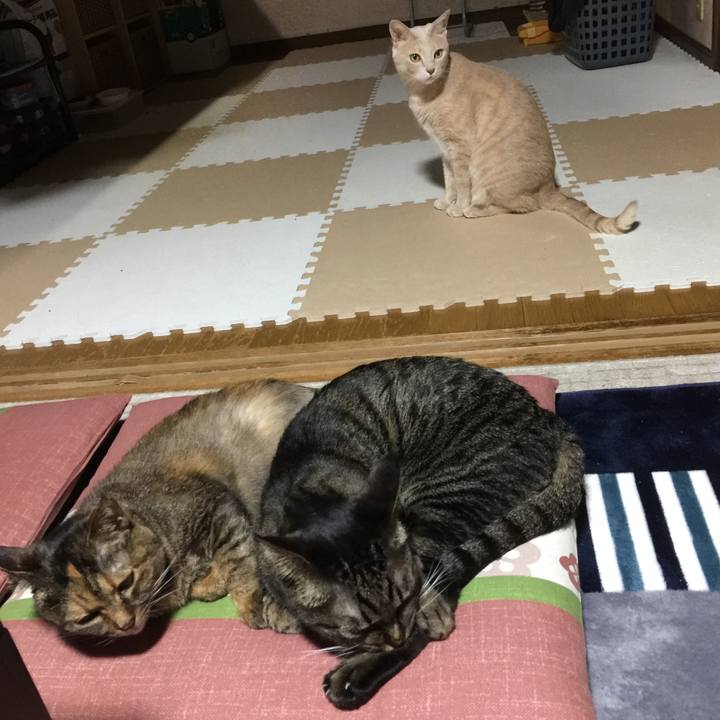 244578a1 beb0 4ccc 9ff8 3bb5c946eff5 1572944972583