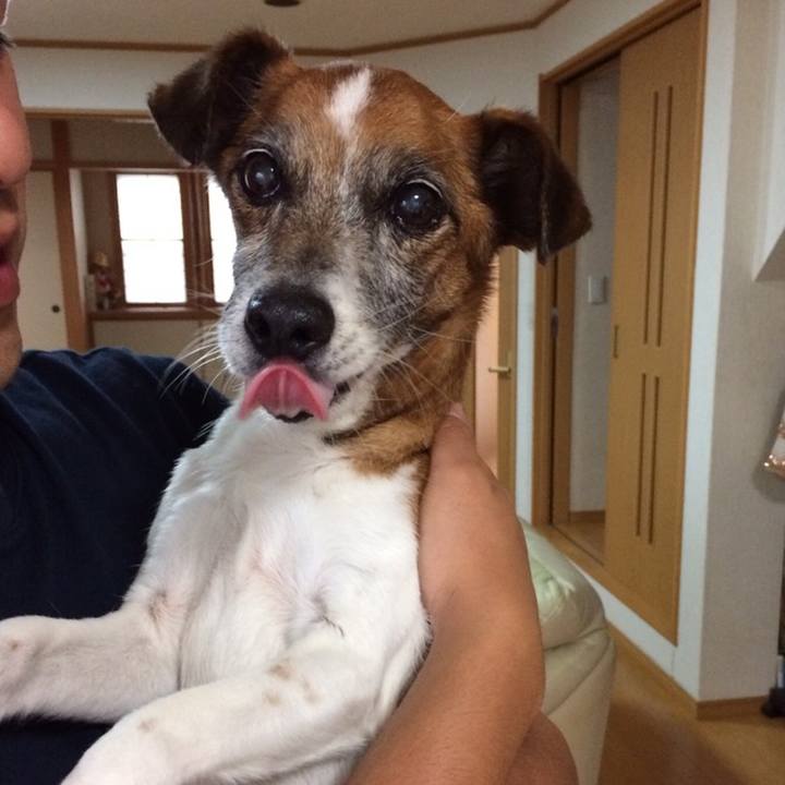 2445a476 01ab 46b4 b3a5 62b0360d88f3 1558408701493