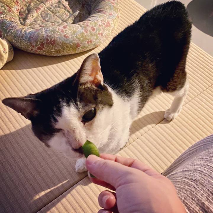 2445aa15 b34b 4708 98e7 2867d938921e 1598102911212