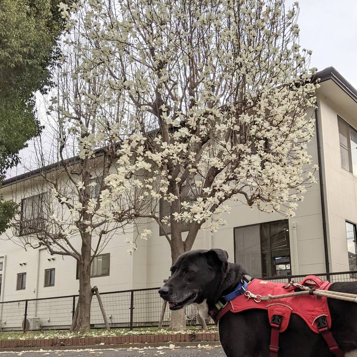 2445c5d1 1ea1 4933 a7b9 7c9940e470ef 1678667657579