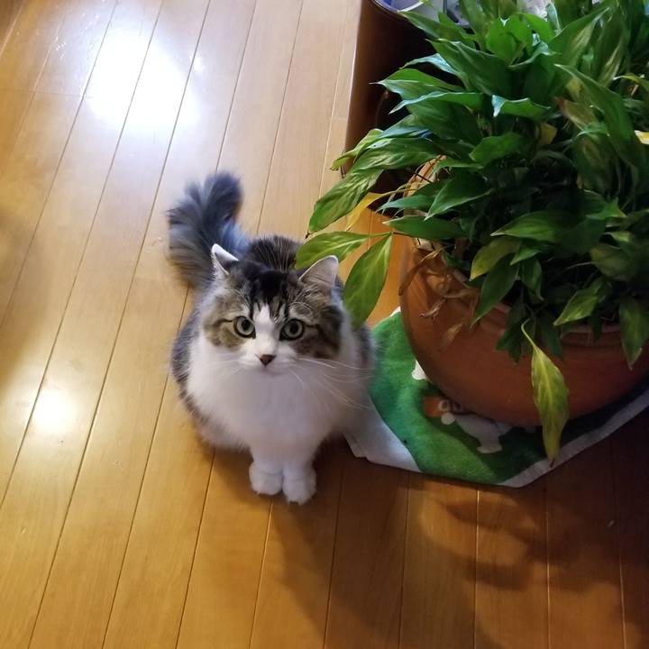 2445e4f5 82a1 4232 aa16 c3d53db50f48 1538273128456