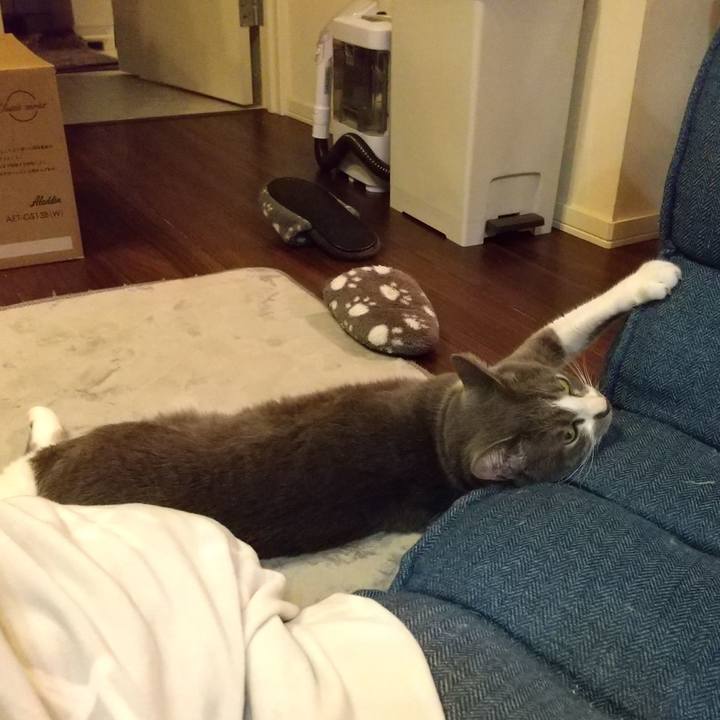 2445f18c 5ff2 434b 8d0a 054ce2fefc64 1643546898858