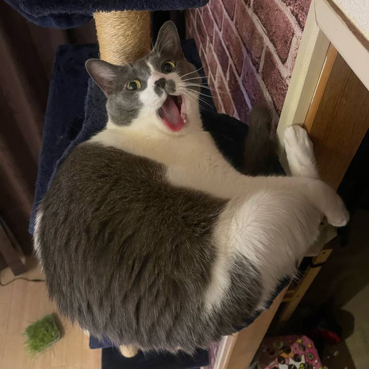 244614a9 c084 4a67 946c ac51ccf253ab 1751631226604