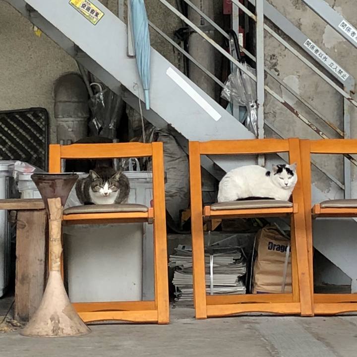 24461d60 8546 4536 9c00 e64c1dd078f4 1524476538941