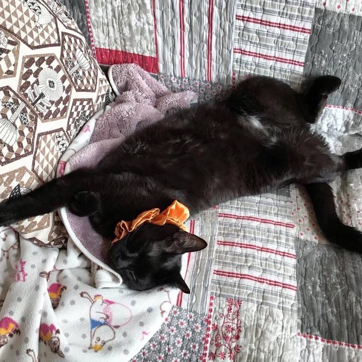 24462f1b 1a92 432c b95c 6a39d76cd80f 1625713668505