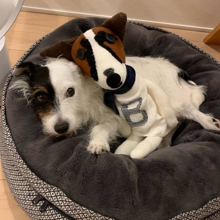 2446497e a1a9 4da9 ab3d b03874a7ae77 1657537059115