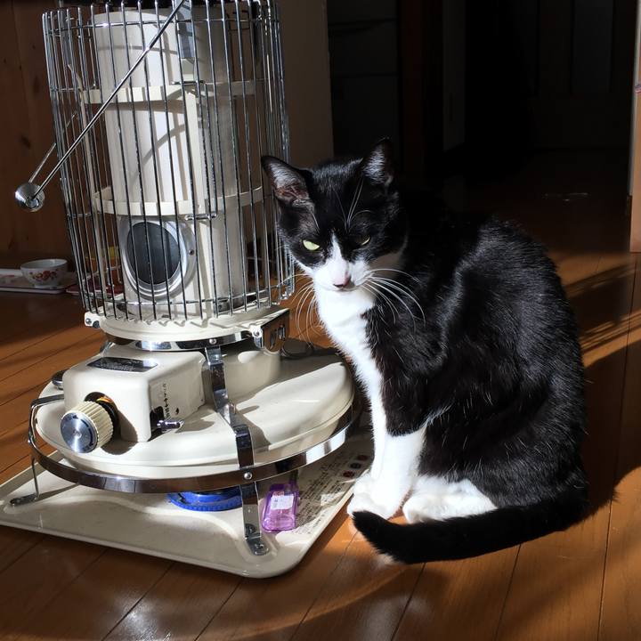 24467b68 7724 4cb4 92dc 57daf8a58bb2 1513763389129