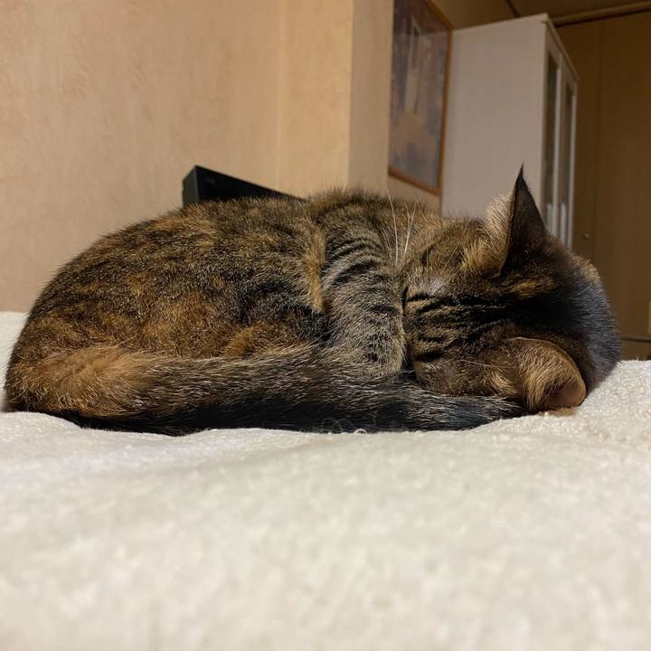 2446bc3d f077 4c1b 9380 c9d47a3f5da3 1606220467746