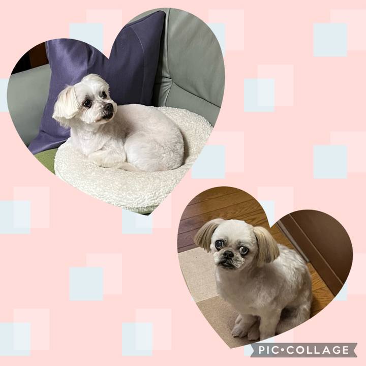 2446c19f 2e37 44f6 acc7 9a72ad48ceae 1676623258541