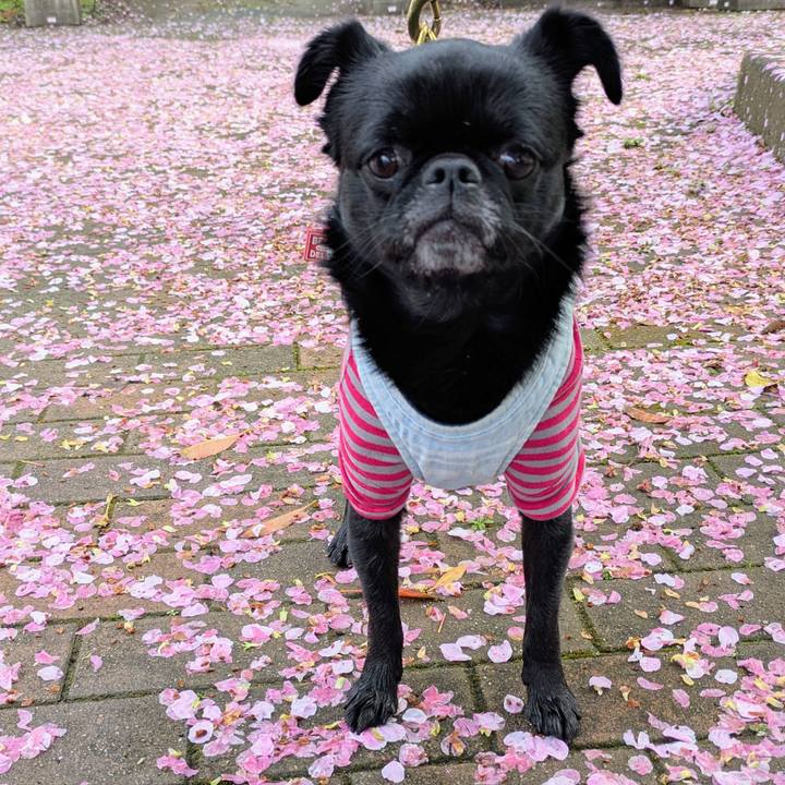 2446f862 81e7 4827 a3b5 aaa3fa39c36b 1775048703288