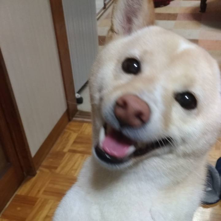 244717db 73b5 4c9e a8f9 861f7cd8139f 1554974860549