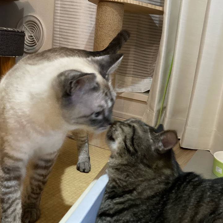 244748c9 06f7 4d91 9b1d efa57542400b 1596197583820