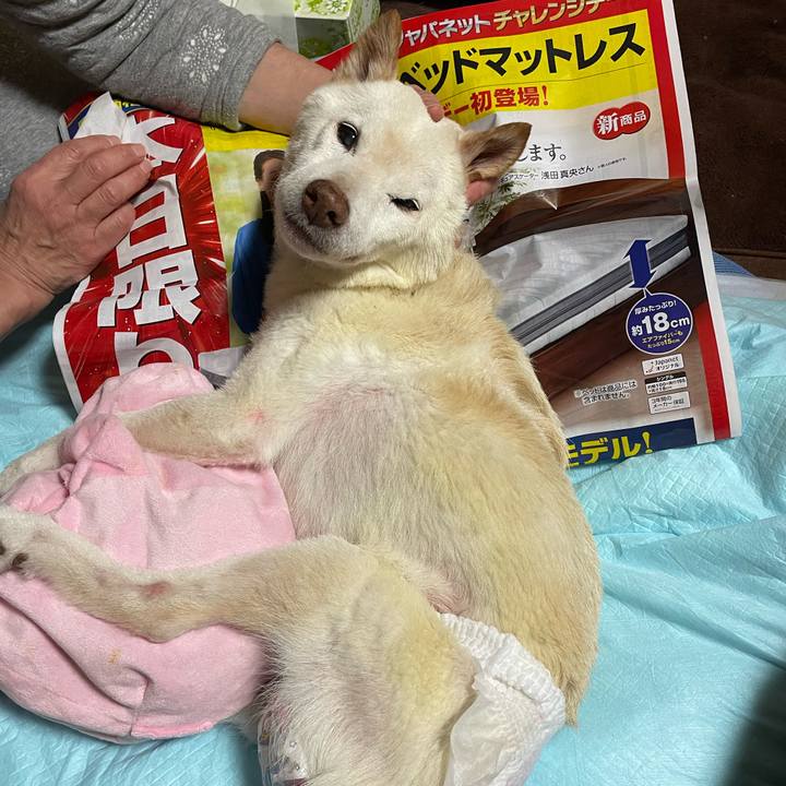 24475c65 c4e6 4958 b17e 57811d5d00e3 1670906784437