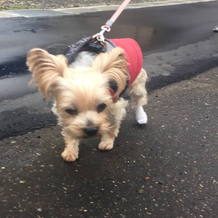 244791f4 ba54 4808 81a2 34f06a1a8126 1542867521579