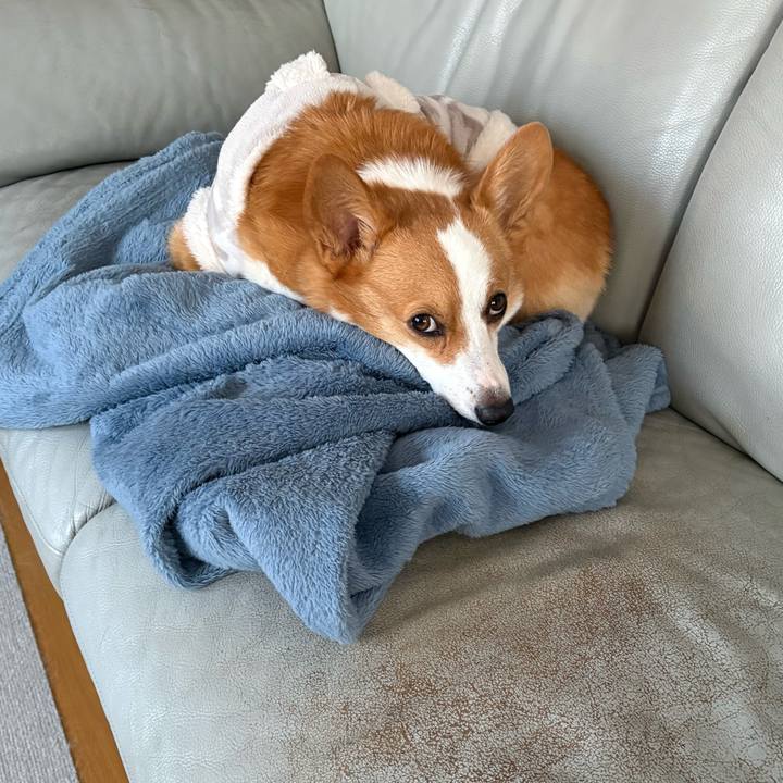 24479930 d3d9 475c 8bf5 771804969897 1768258267883