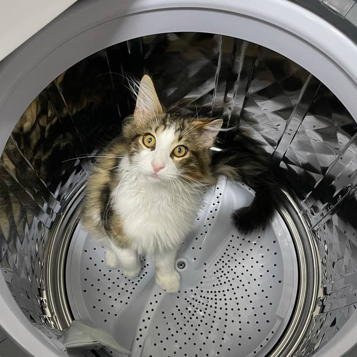 24479a5c f2cd 41ba 9f18 1596ed278b92 1635502924281