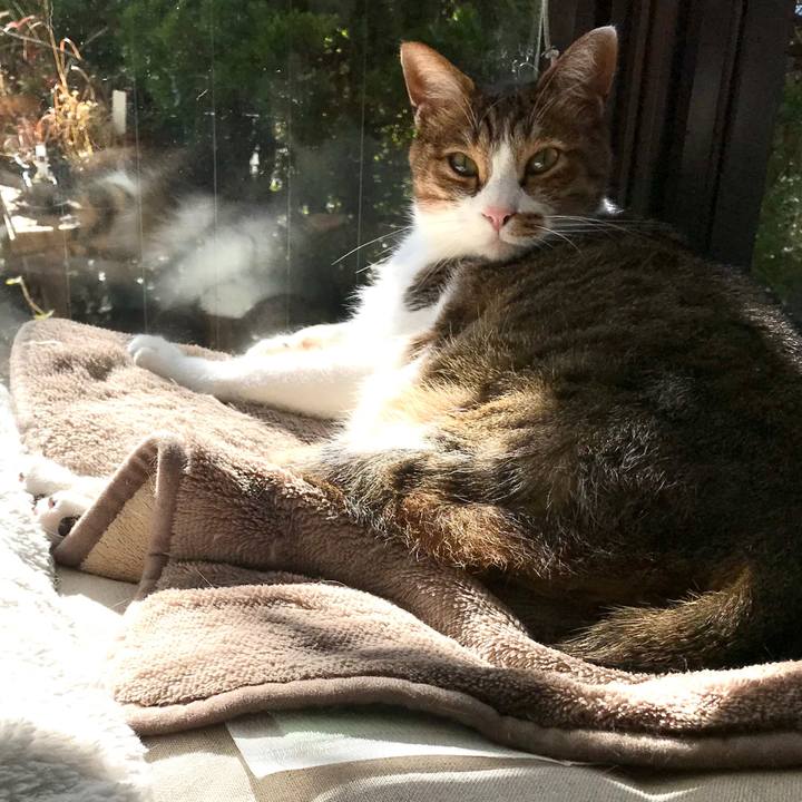 2447d57e b040 448f 825c b8f91ff4c9da 1512549374219