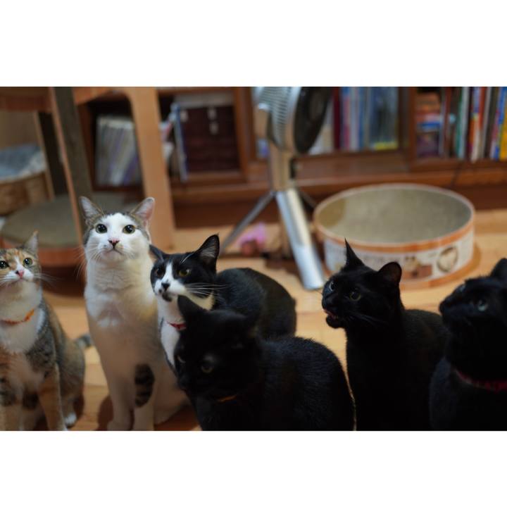 2447d835 5eda 4f5f af68 76f6d5f3b3b7 1632579950555