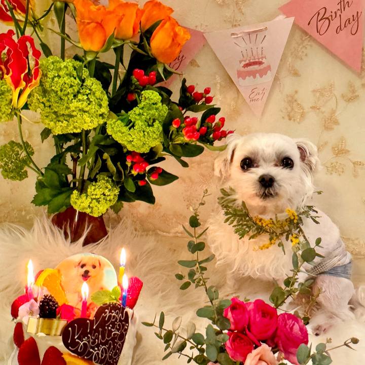 2447e72a 0567 432a 908b 6b8fd100c1d1 1710485110307