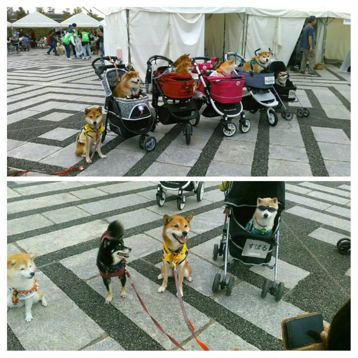 2448124d eeb9 401a 9b58 f9cecac7bc2d 1571557605862