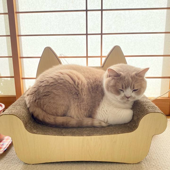 24481bd5 e892 49ff b58b 8523c7b1bfad 1666689937195