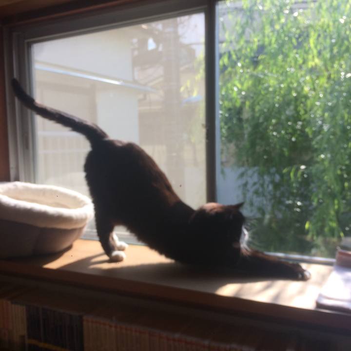 24481eb7 1974 4f23 b754 880d0b83355d 1587684213160