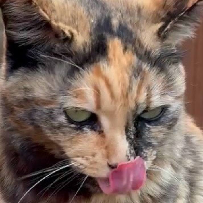 24484051 881d 4a4c ac9c 7c8cb608693d 1774622078248