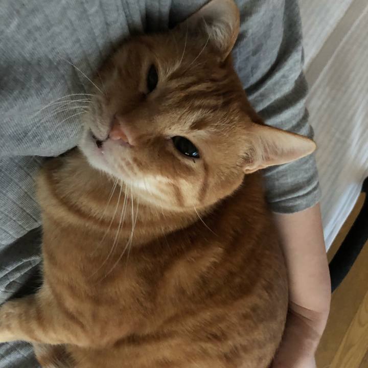 2448655b ca0b 4278 bb8e 20db9bd18a64 1584134294724