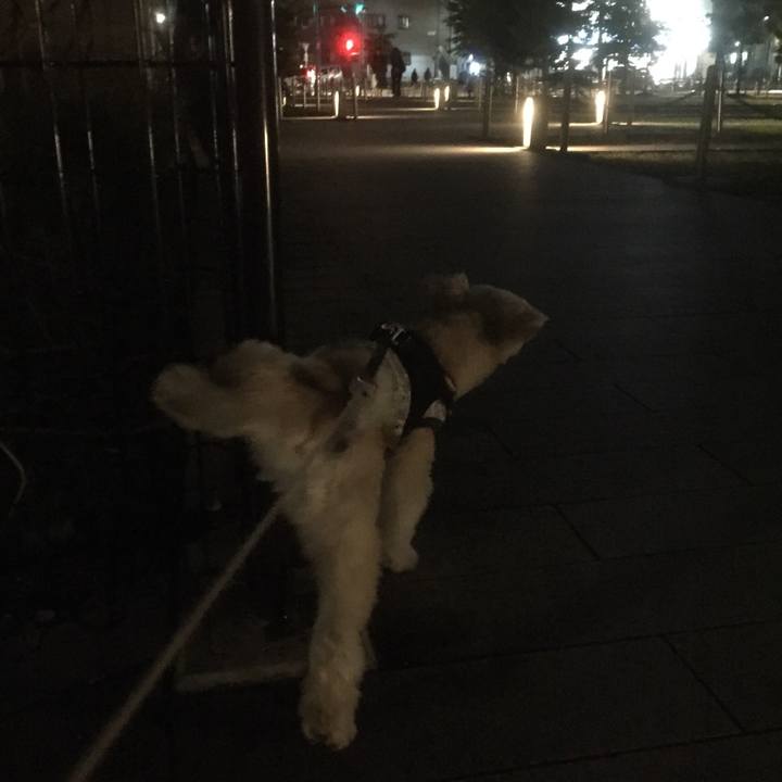 2448760b 7269 4a1d 99ae 88be574c7228 1557403588780